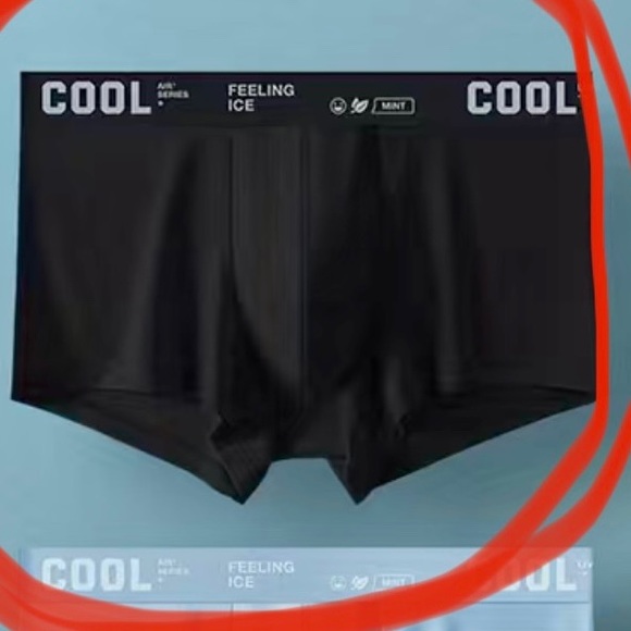 WORN ICE SILK COOL UNDERWEAR SEXY ULTRA THIN BOXER BRIEFS.   TRUNK STYLE - Picture 1 of 9